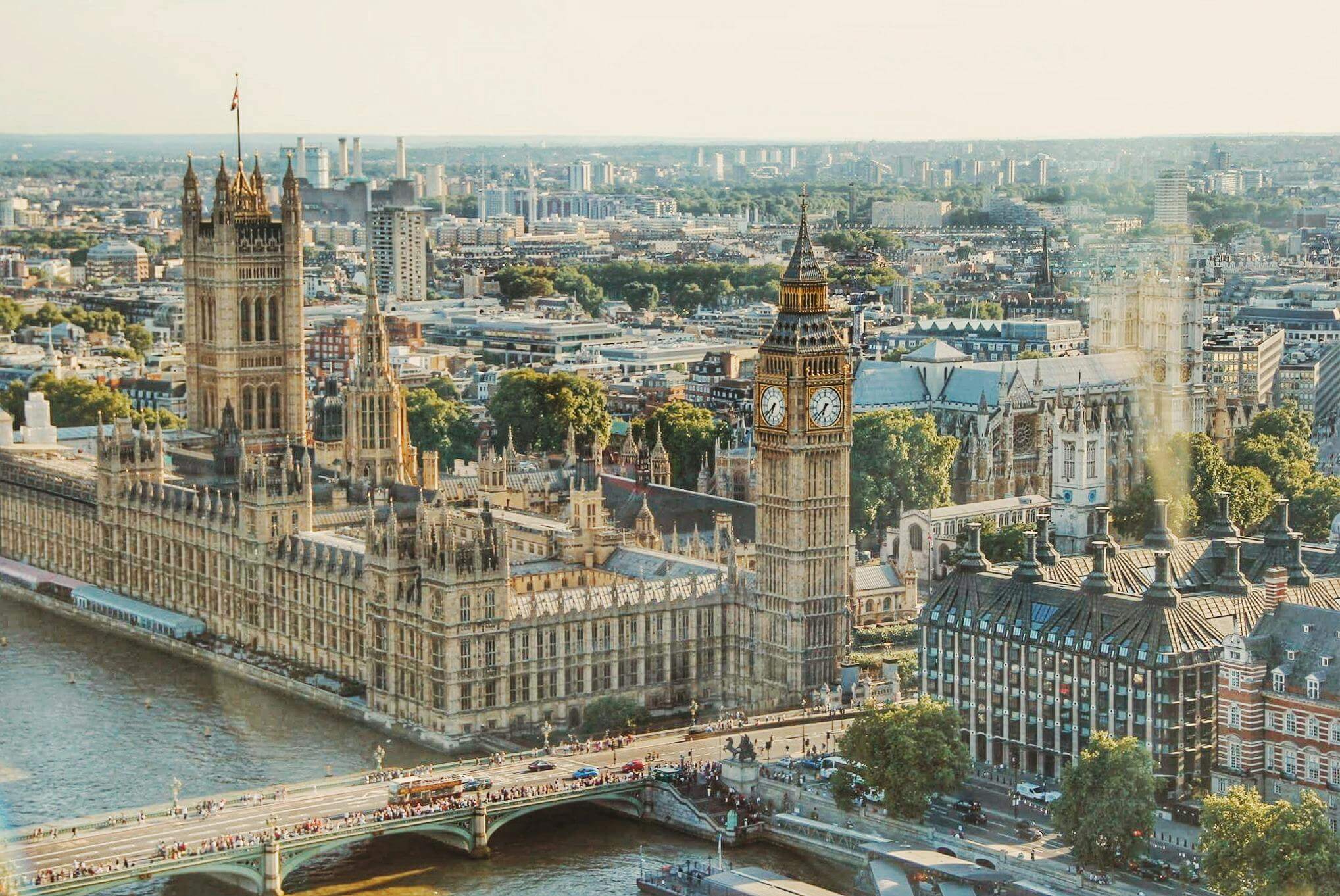 What does the Insolvency Service do?